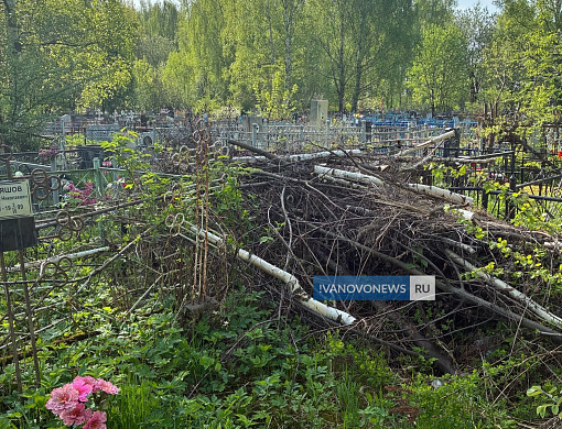 Спиленные ветки на кладбище в Кинешме пообещали убрать за неделю